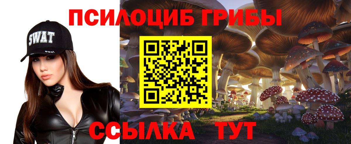 Усинск  Галлюциногенные грибы MAGIC MUSHROOMS  Псилоцибиновые грибы Magic Shrooms  Вход с VPN 
